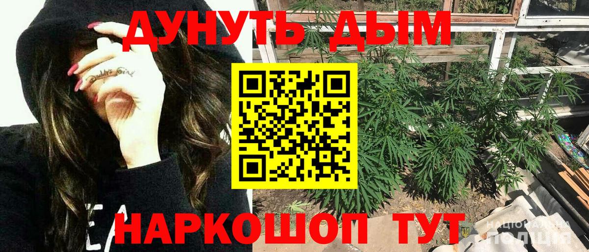 МАРИХУАНА сатива Троицк